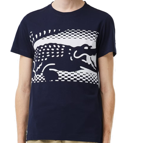 CAMISETA LACOSTE SPORT DJOKOVIC
