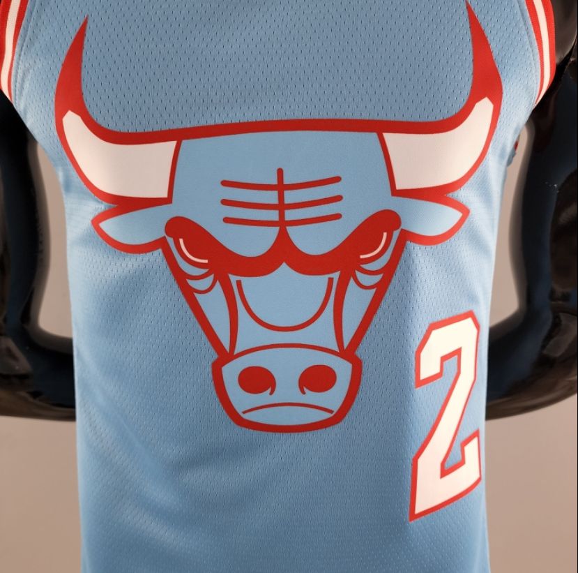 CHICAGO BULLS BALL 2