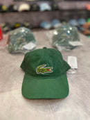 LACOSTE BIG CROC - VERDE